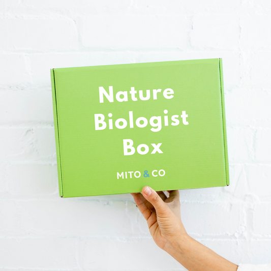 The Nature Biologist Summer Box (Coming soon)